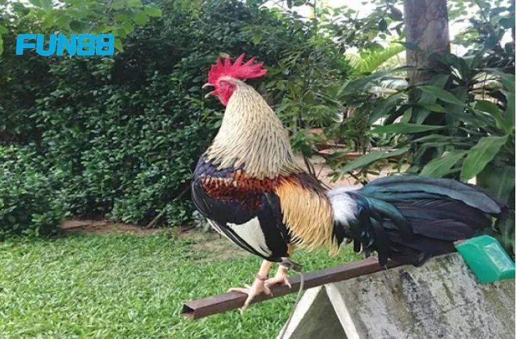 Toàn bộ lưu ý quan trọng được chuyên gia chia sẻ