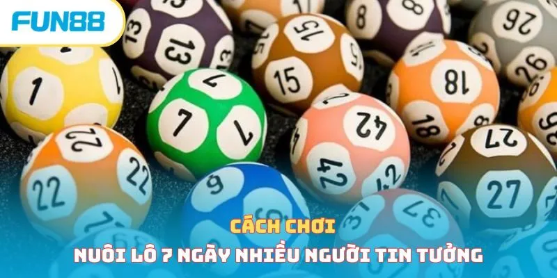Cách chơi nuôi lô 7 ngày - nhiều người tin tưởng