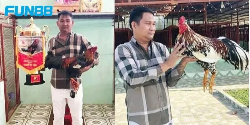 Những câu hỏi được đặt ra cho trận đá gà 24 tỷ